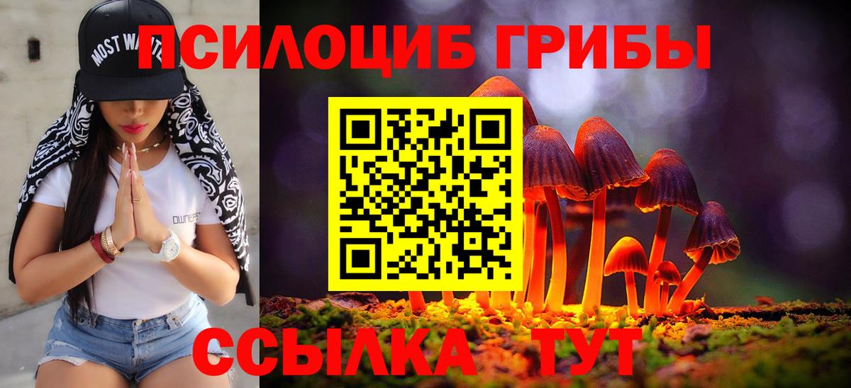 Татарск  закладка  Вход с VPN  Псилоцибиновые грибы мицелий 